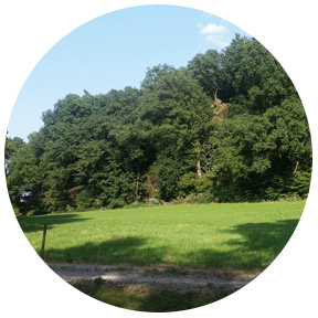 R.I.A. tiergestützte Pädagogik - Praxis Räumlichkeiten